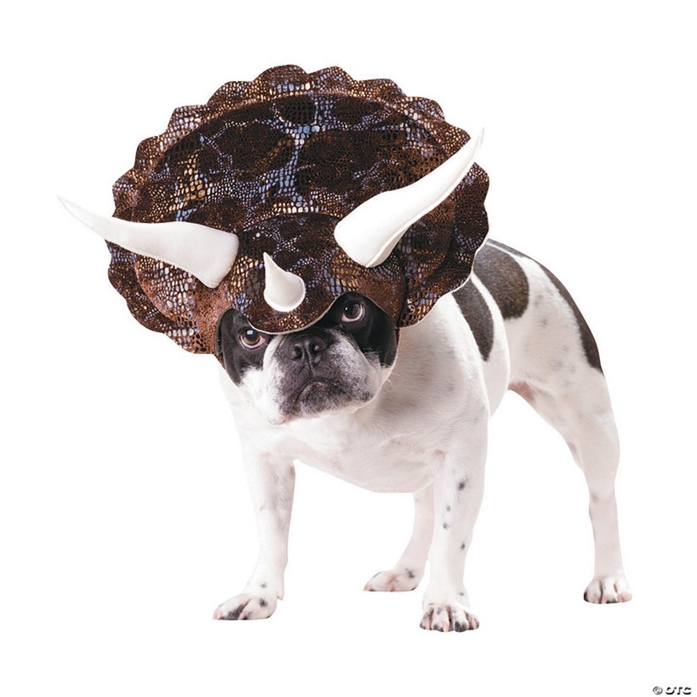 Dog triceratops costume